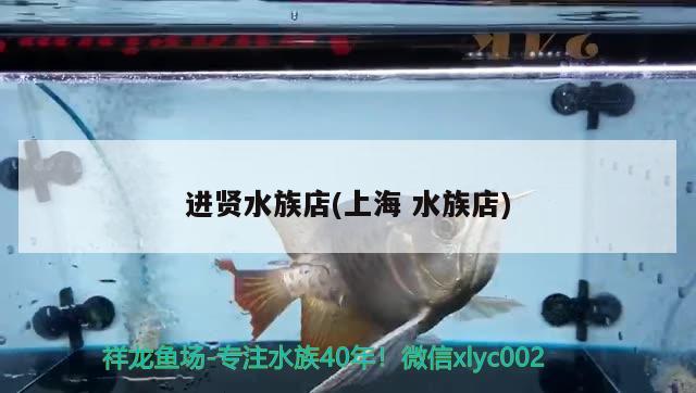 進賢水族店(上海水族店) 黃金鴨嘴魚