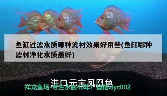 魚缸過濾水質(zhì)哪種濾材效果好用些(魚缸哪種濾材凈化水質(zhì)最好) PH調(diào)節(jié)劑