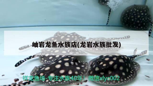 岫巖龍魚水族店(龍巖水族批發(fā))