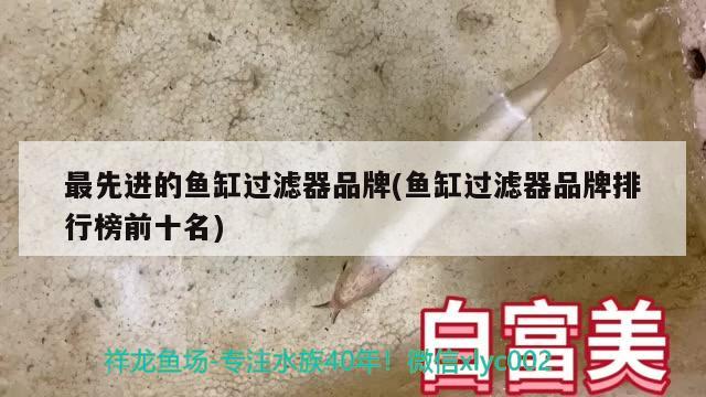 最先進(jìn)的魚(yú)缸過(guò)濾器品牌(魚(yú)缸過(guò)濾器品牌排行榜前十名) 羅漢魚(yú) 第2張