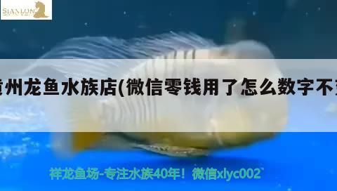 黃州龍魚水族店(微信零錢用了怎么數(shù)字不變)