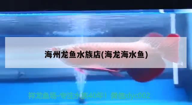 海州龍魚水族店(海龍海水魚) 海水魚