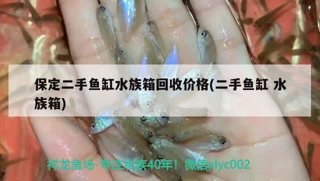 保定二手魚缸水族箱回收價格(二手魚缸水族箱)