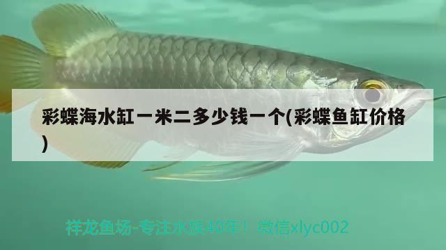 彩蝶海水缸一米二多少錢一個(gè)(彩蝶魚缸價(jià)格) 熊貓異形魚L46 第2張