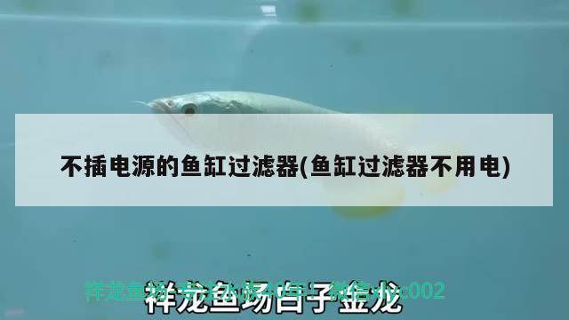 不插電源的魚缸過濾器(魚缸過濾器不用電) 印尼小紅龍