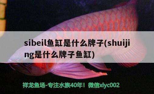 sibeil魚缸是什么牌子(shuijing是什么牌子魚缸) 朱巴利魚