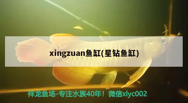 xingzuan魚(yú)缸(星鉆魚(yú)缸) 星點(diǎn)金龍魚(yú)