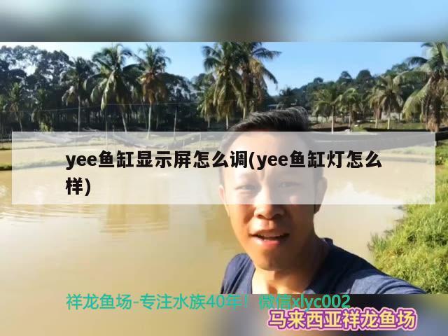 yee魚缸顯示屏怎么調(diào)(yee魚缸燈怎么樣)