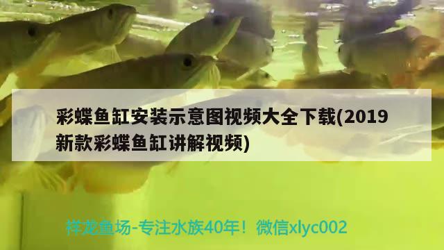 彩蝶魚缸安裝示意圖視頻大全下載(2019新款彩蝶魚缸講解視頻)