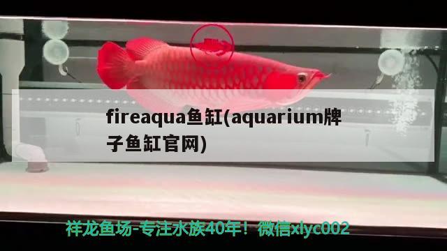 fireaqua魚(yú)缸(aquarium牌子魚(yú)缸官網(wǎng))