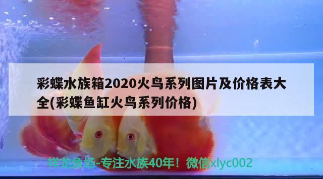 彩蝶水族箱2020火鳥系列圖片及價(jià)格表大全(彩蝶魚缸火鳥系列價(jià)格) 魚缸/水族箱