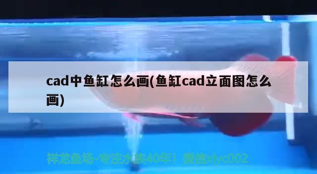 cad中魚缸怎么畫(魚缸cad立面圖怎么畫) 申古三間魚