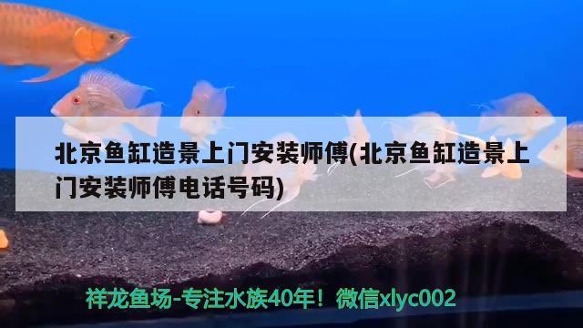 北京魚缸造景上門安裝師傅(北京魚缸造景上門安裝師傅電話號(hào)碼) 申古三間魚