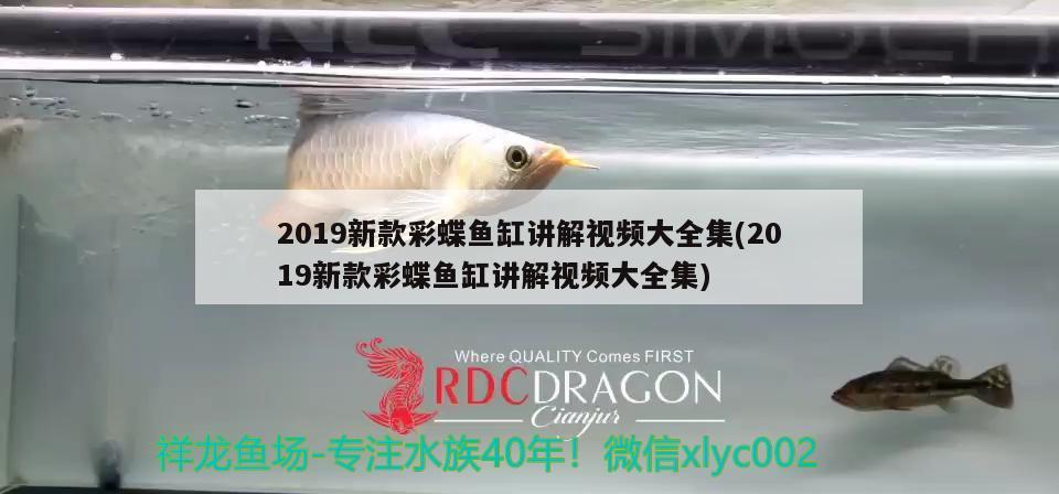 2019新款彩蝶魚缸講解視頻大全集(2019新款彩蝶魚缸講解視頻大全集)