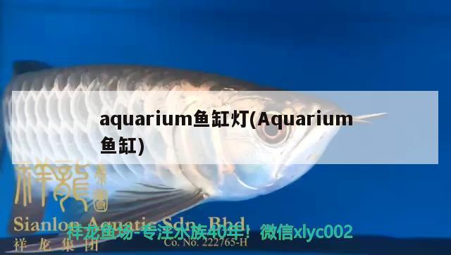 aquarium魚缸燈(Aquarium魚缸)