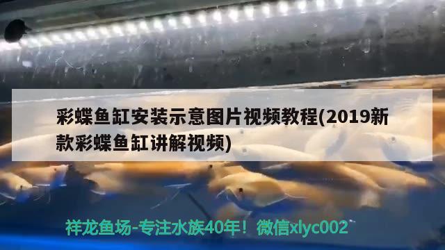 彩蝶魚缸安裝示意圖片視頻教程(2019新款彩蝶魚缸講解視頻)