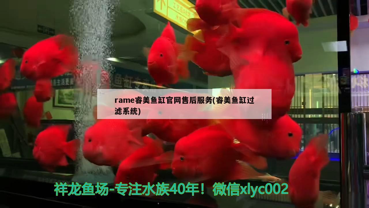 rame睿美魚缸官網(wǎng)售后服務(wù)(睿美魚缸過(guò)濾系統(tǒng)) 金老虎魚