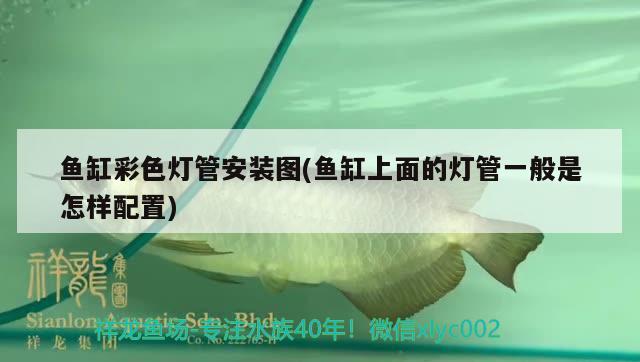 魚(yú)缸彩色燈管安裝圖(魚(yú)缸上面的燈管一般是怎樣配置) 魚(yú)缸凈水劑