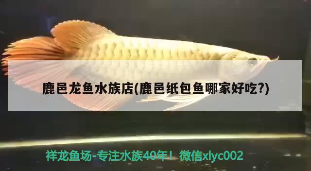 鹿邑龍魚(yú)水族店(鹿邑紙包魚(yú)哪家好吃?) PH調(diào)節(jié)劑