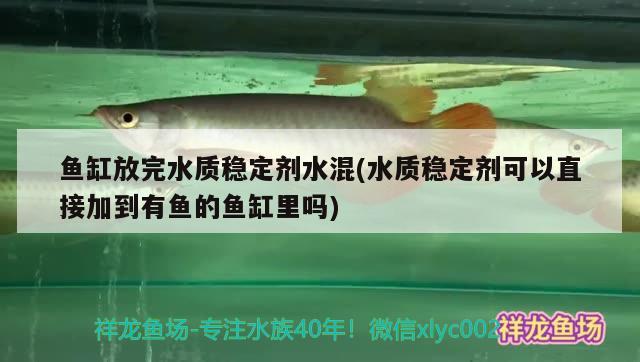 魚(yú)缸放完水質(zhì)穩(wěn)定劑水混(水質(zhì)穩(wěn)定劑可以直接加到有魚(yú)的魚(yú)缸里嗎)