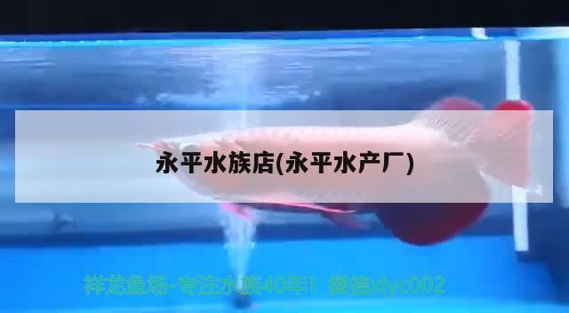 永平水族店(永平水產(chǎn)廠) 魚缸水質穩(wěn)定劑