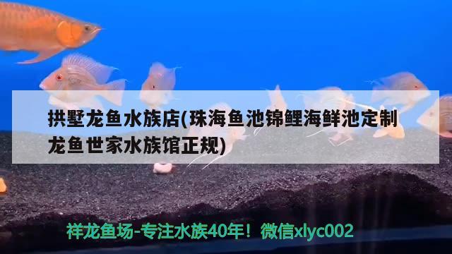 拱墅龍魚水族店(珠海魚池錦鯉海鮮池定制龍魚世家水族館正規(guī)) 祥龍赫舞紅龍魚