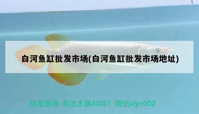 白河魚(yú)缸批發(fā)市場(chǎng)(白河魚(yú)缸批發(fā)市場(chǎng)地址) 龍魚(yú)芯片掃碼器