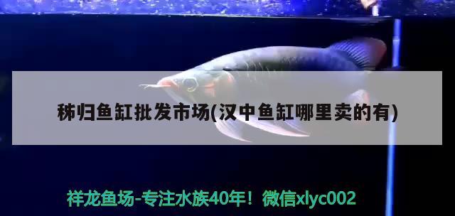 秭歸魚缸批發(fā)市場(漢中魚缸哪里賣的有)