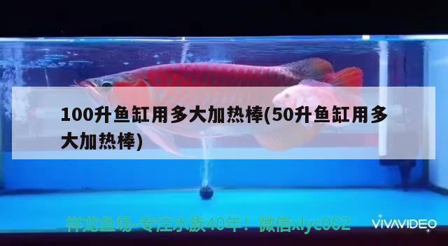 100升魚缸用多大加熱棒(50升魚缸用多大加熱棒) 純血皇冠黑白魟魚