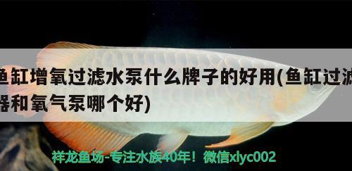 魚缸增氧過濾水泵什么牌子的好用(魚缸過濾器和氧氣泵哪個好) 觀賞魚市場