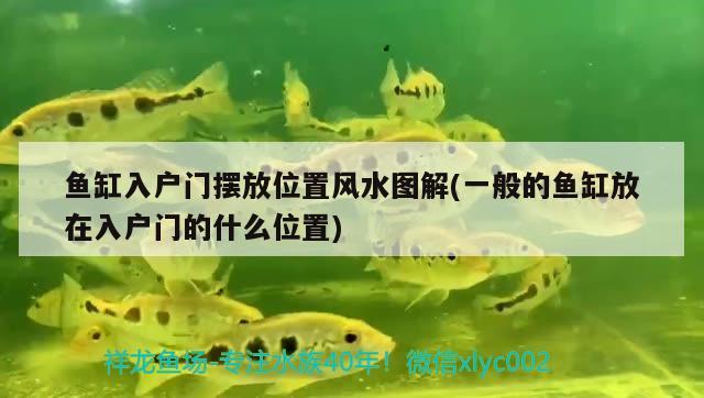 魚缸入戶門擺放位置風(fēng)水圖解(一般的魚缸放在入戶門的什么位置) 魚缸風(fēng)水