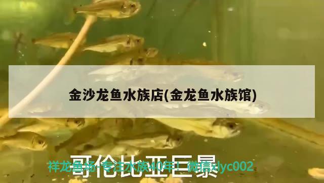 金沙龍魚(yú)水族店(金龍魚(yú)水族館) 龍魚(yú)專(zhuān)用燈