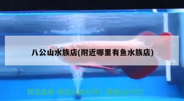 八公山水族店(附近哪里有魚水族店) 沖氧泵