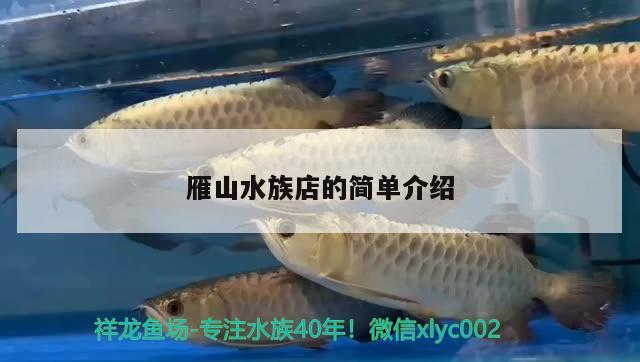 雁山水族店的簡單介紹 廣州觀賞魚批發(fā)市場