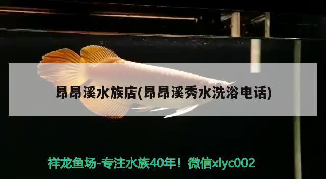 昂昂溪水族店(昂昂溪秀水洗浴電話) 其他益生菌