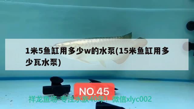 1米5魚缸用多少w的水泵(15米魚缸用多少瓦水泵) 熊貓異形魚L46