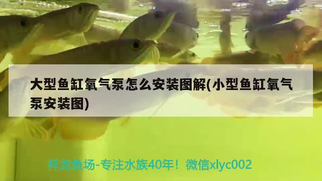 大型魚缸氧氣泵怎么安裝圖解(小型魚缸氧氣泵安裝圖) 魚缸清潔用具