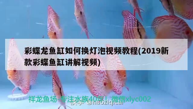 彩蝶龍魚缸如何換燈泡視頻教程(2019新款彩蝶魚缸講解視頻)