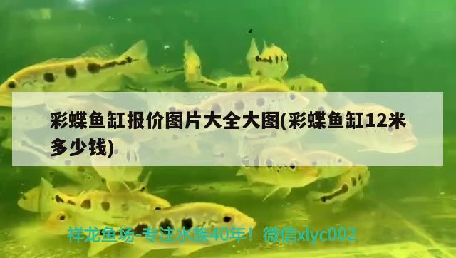 彩蝶魚缸報(bào)價(jià)圖片大全大圖(彩蝶魚缸12米多少錢)