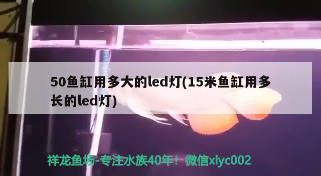 50魚(yú)缸用多大的led燈(15米魚(yú)缸用多長(zhǎng)的led燈) 孵化器