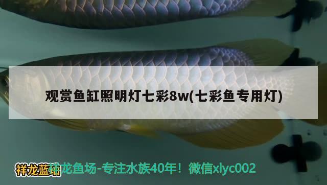 觀賞魚缸照明燈七彩8w(七彩魚專用燈)