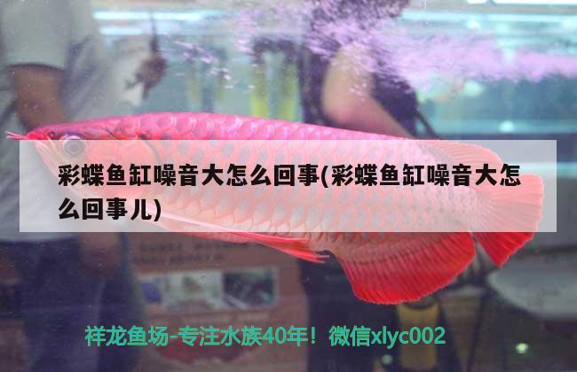 彩蝶魚缸噪音大怎么回事(彩蝶魚缸噪音大怎么回事兒)