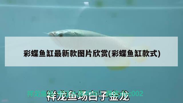 彩蝶魚缸最新款圖片欣賞(彩蝶魚缸款式) 黑桃A魚