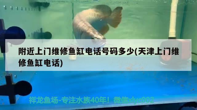 附近上門維修魚缸電話號碼多少(天津上門維修魚缸電話)