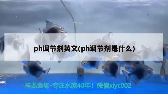 ph調(diào)節(jié)劑英文(ph調(diào)節(jié)劑是什么) 財(cái)神鸚鵡魚