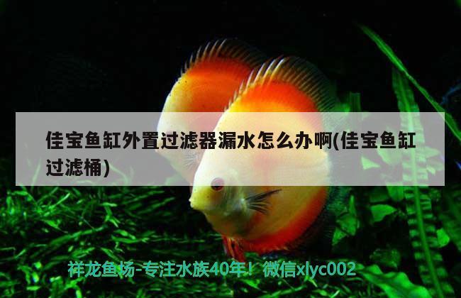 佳寶魚缸外置過濾器漏水怎么辦啊(佳寶魚缸過濾桶) 帝王血鉆