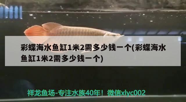 彩蝶海水魚缸1米2需多少錢一個(彩蝶海水魚缸1米2需多少錢一個) 海水魚