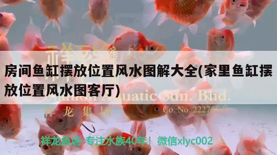 房間魚缸擺放位置風水圖解大全(家里魚缸擺放位置風水圖客廳) 魚缸風水