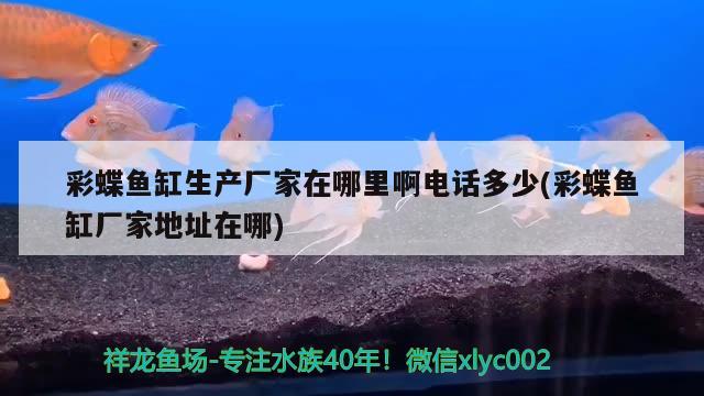 彩蝶魚缸生產(chǎn)廠家在哪里啊電話多少(彩蝶魚缸廠家地址在哪)