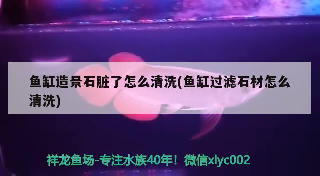 魚缸造景石臟了怎么清洗(魚缸過濾石材怎么清洗) 月光鴨嘴魚苗